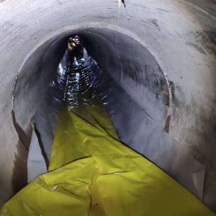 新洲管道光固化修复